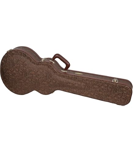 Amazon.com: Epiphone Case for Epiphone Les Paul Standard & Custom